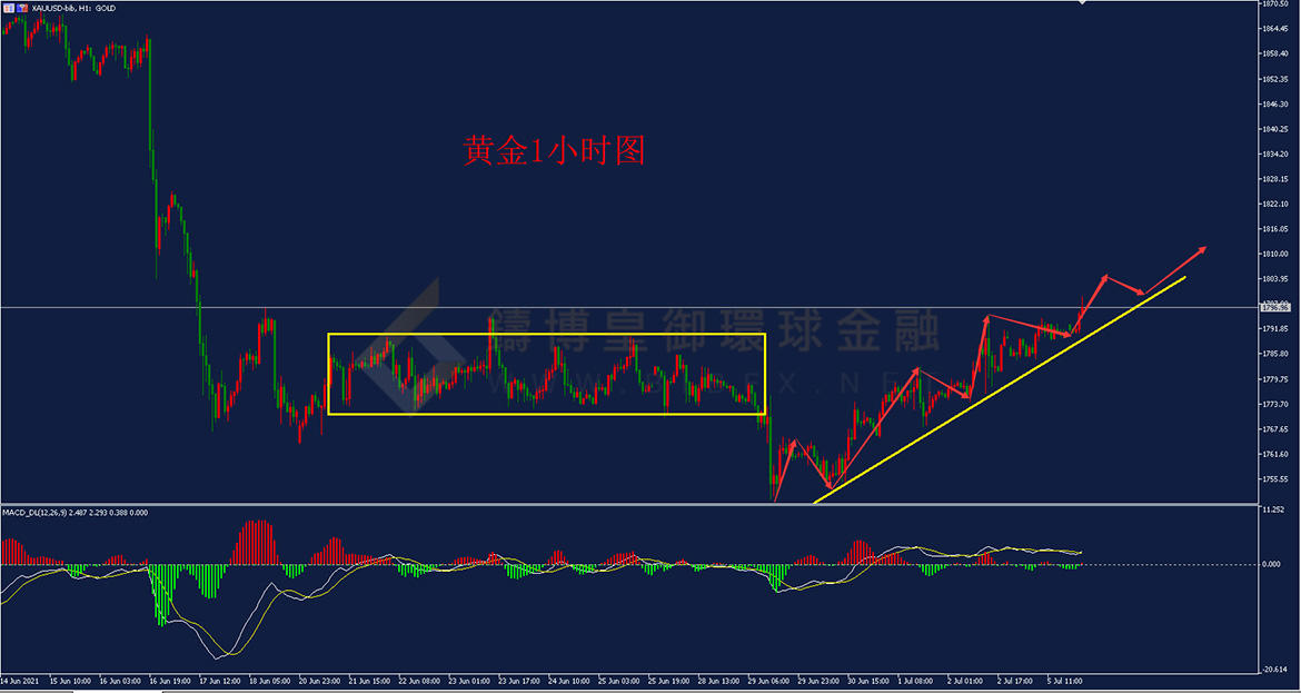 铸博皇御环球金融